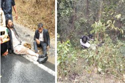 CG road accident: ट्रक की टक्कर से खाई में जा गिरी स्कॉर्पियो, कोर्ट से लौट रहे
शहर के 2 अधिवक्ता घायल - image