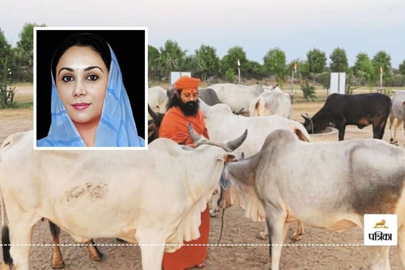 Good News Budget 2025 Rajasthan Government increased Cow Shelters Grant Amount