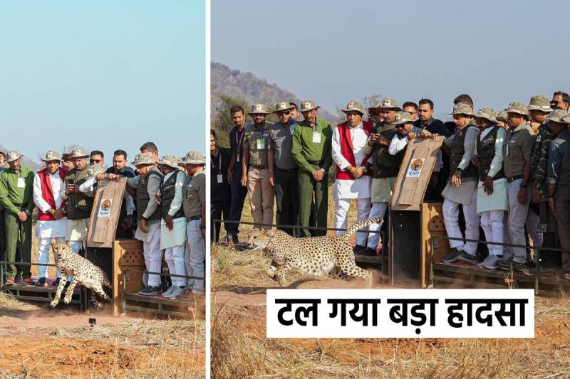 CM Mohan Yadav in Kuno