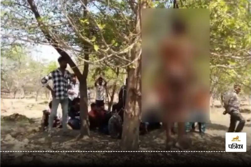 CG Suicide Case: पेड़ पर लटकी मिली युवक की लाश, इस हाल में देख लोगों के उड़े होश, जांच में जुटी पुलिस