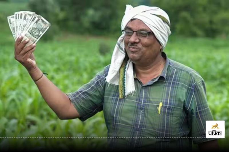 CG News: बस्तर का कोलचूर बना हाईटेक एग्रो फार्मिंग हब, कैश क्रॉप को अपनाकर अब किसान कमा रहे हैं लाखों रुपए