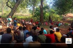 Dantewada News: ऐसा गांव जहां… पहले बताओ विकास का मॉडल, फिर बनो सरपंच - image