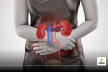 Kidney Problem Signs: रात में बार बार पेशाब का आना ही नहीं, ये 6 लक्षण भी किडनी
खराब के देते हैं संकेत, जानें आप