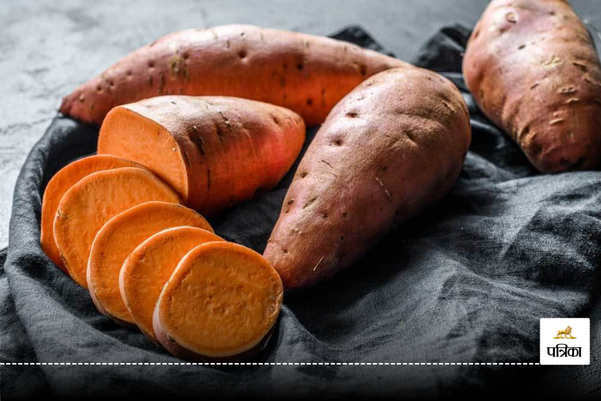 Sweet potato benefits: स्वस्थ रहने के लिए शकरकंदी के 5 फायदे, जानें क्यों इसे
अपनी डाइट में शामिल करें