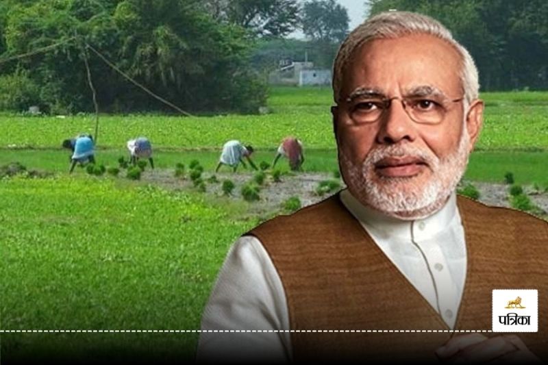 PM Kisan 19th Installment: पीएम किसान की 19वीं किस्त जारी, फटाफट ऐसे चेक करें बेनिफिशियरी स्टेटस