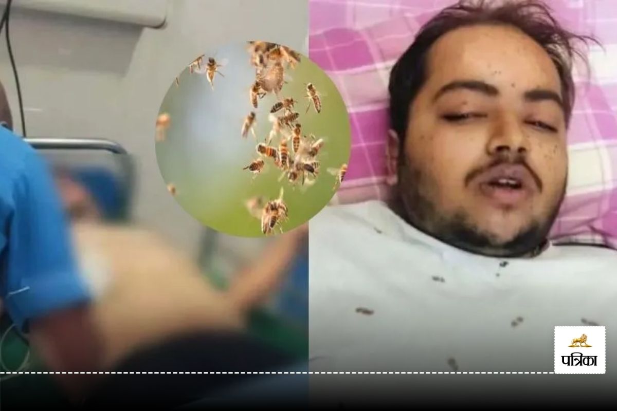 Honey Bee Attack: शिवभक्तों पर मधुमक्खियों ने किया हमला, डॉक्टर को 1500 से अधिक
जगह मारा डंक, 10 घायल…