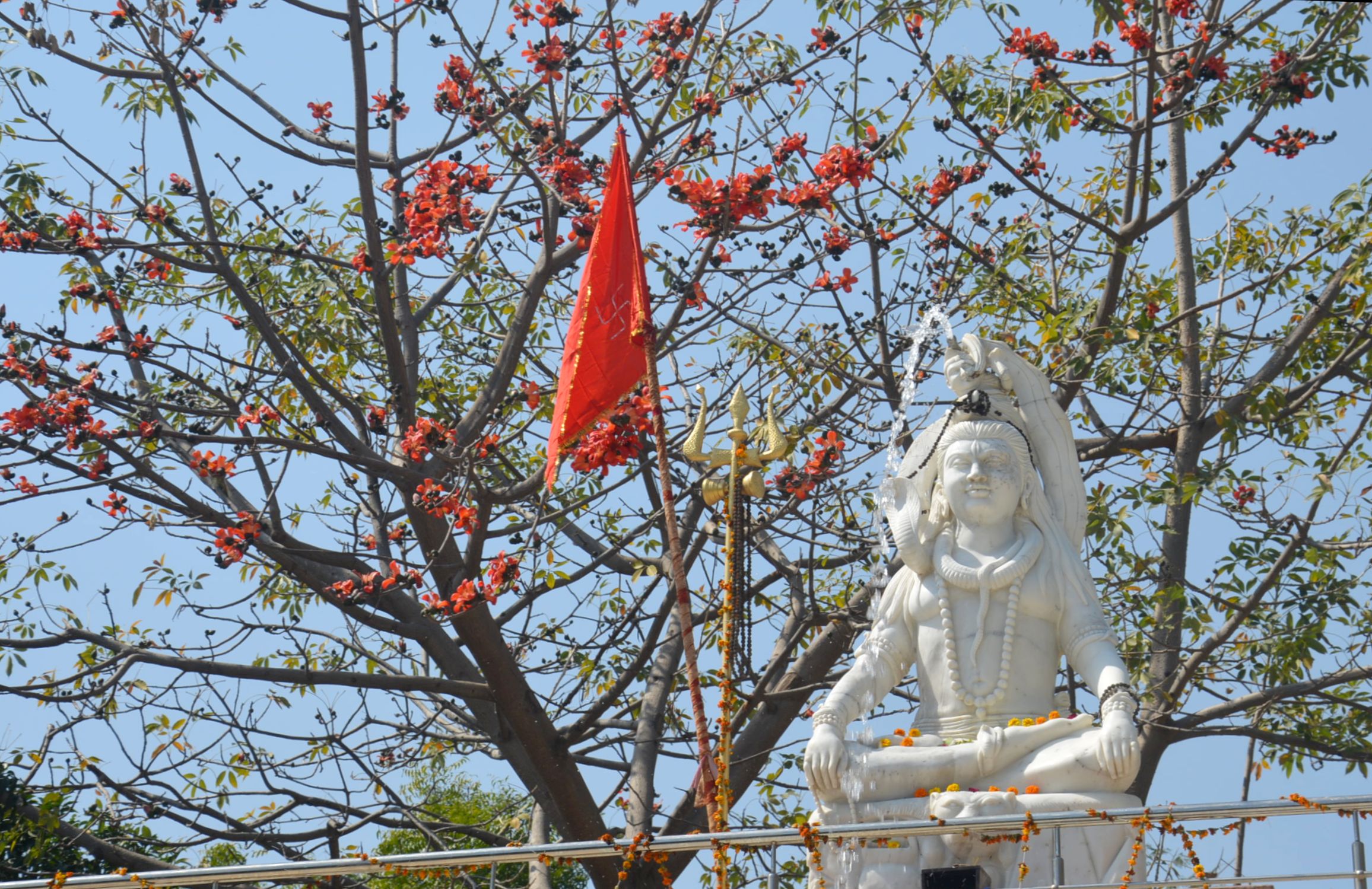 टेसू के फूलो से भोले नाथ का श्रृंगार, देखे तस्वीरें