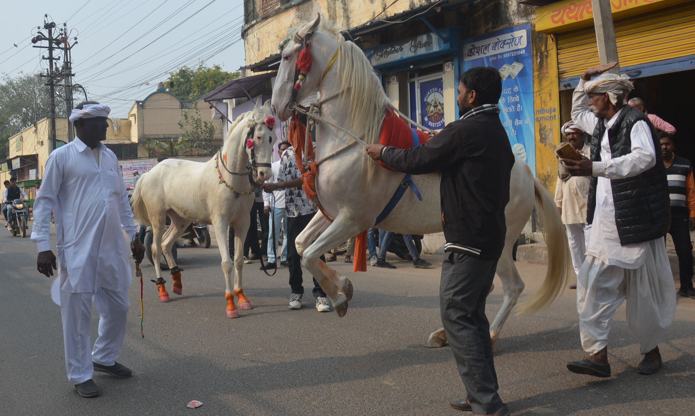 देवनारायण जयंती पर घोड़ी नृत्य रहा आकर्षण का केंद्र, देंखे तस्वीरें