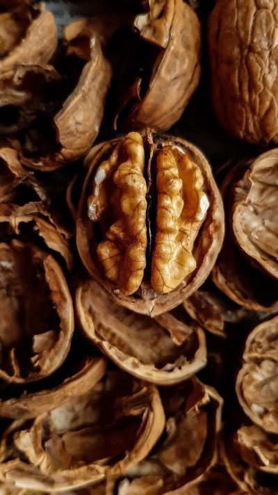 Short video poster image