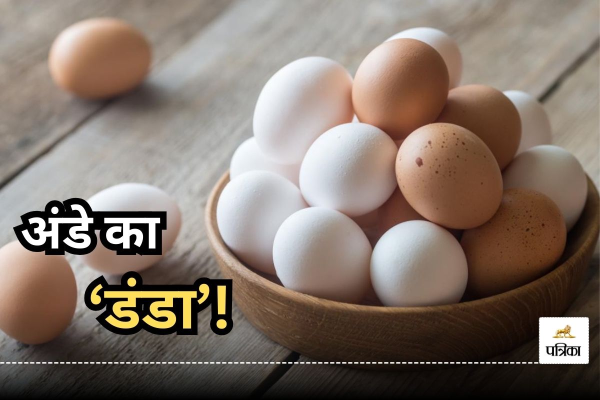 one lakh eggs worth 34 lakh rupees stolen in USA due to Price hike