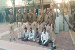 Rajasthan Crime: राजस्थान में पुलिस की बड़ी कार्रवाई, 1080 लीटर नकली घी बरामद,
बाड़मेर भेजने की थी तैयारी - image