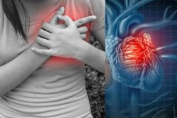 Heart Attack: रेलवे कर्मचारी की ऑन ड्यूटी और बेटी होने के बाद ससुराल लौट रही
महिला की मौत, कार्डियक अरेस्ट के शिकार होने लगे 25 से 40 वर्ष के लोग - image