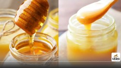 आयुर्वेद कहता है – Honey and Ghee साथ में? सोचिए फिर खाइए - image