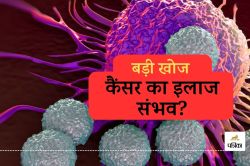 Cancer का इलाज संभव? लेकिन इस चीज का मजबूत होना जरुरी : बड़ी खोज - image