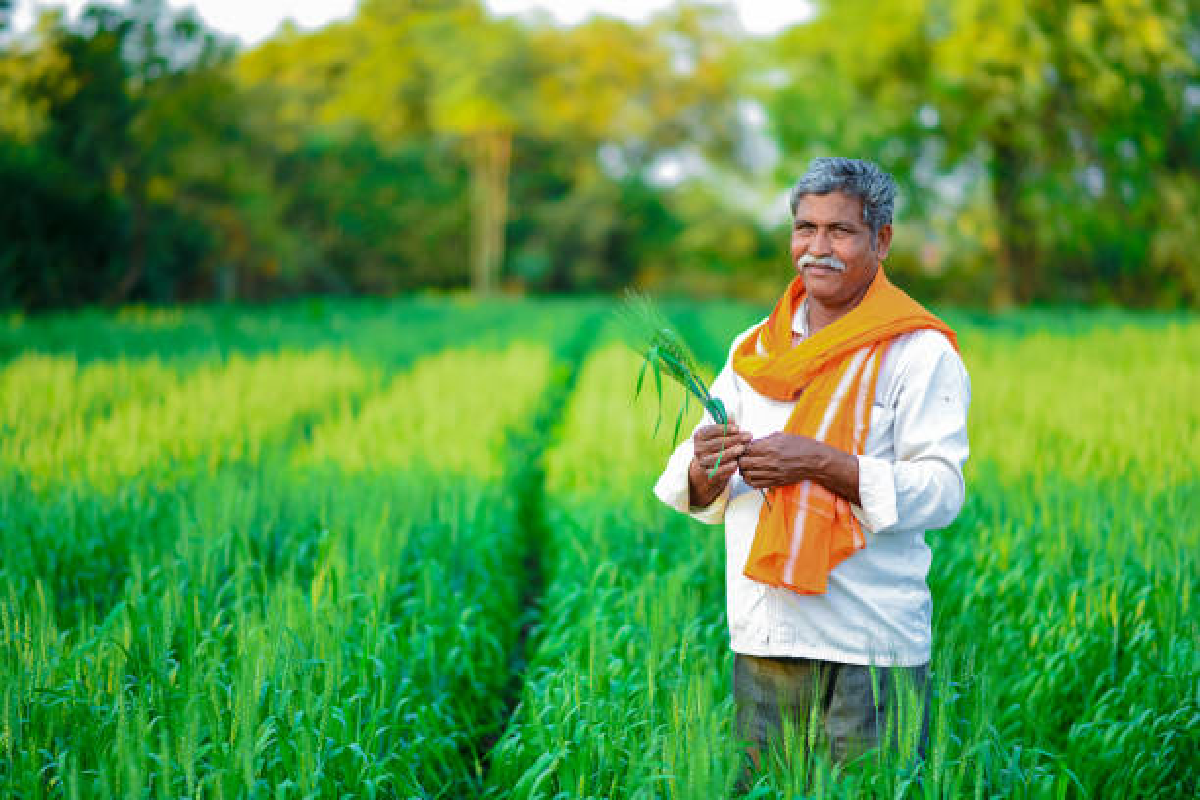 Farmer News