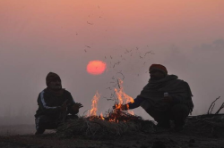 MP Weather Alert: कड़ाके की सर्दी से कांपा एमपी, IMD ने जारी किया ठंड और शीतलहर
का अलर्ट - image