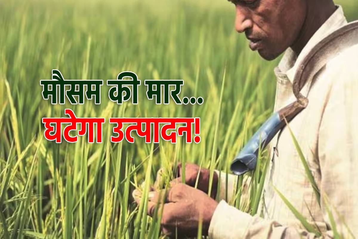 MP Weather Effect on Crops