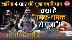 Mahashivratri 2025 : क्या है नमक चमक महारुद्राभिषेक और इसका महत्व? - image