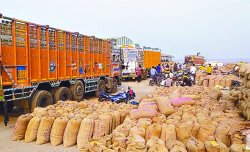 गेहूं की स्टॉक सीमा लागू, थोक और चिल्लर व्यापारियों के लिए बनाए नियम - image