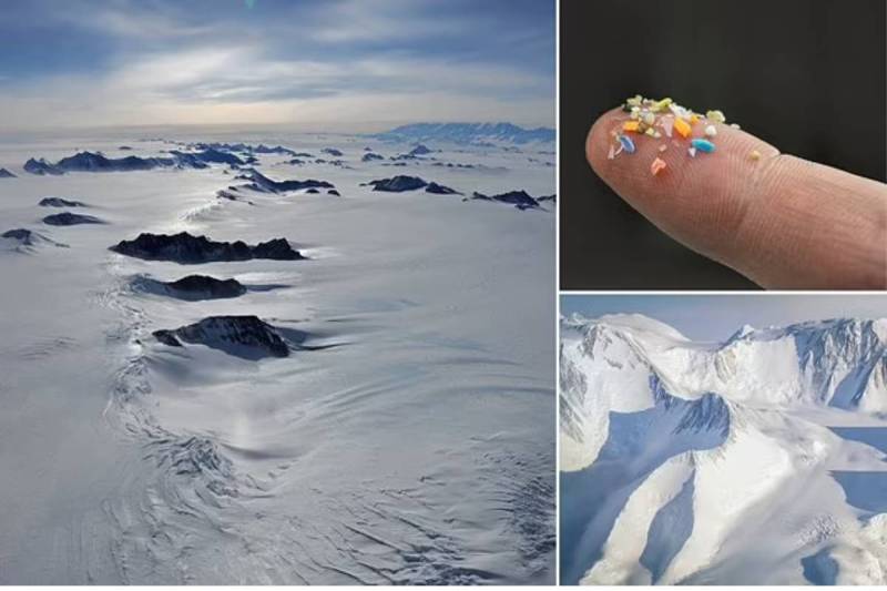 Microplastics in Antarctica