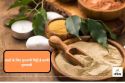 Multani Mitti For Hair: फॉलिंग हेयर को रोकने के लिए मुल्तानी मिट्टी का ऐसे करें
उपयोग