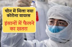 Corona virus : चीन में मिला नया कोरोना वायरस, क्या है HKU5-CoV-2 और कितना
खतरनाक? - image