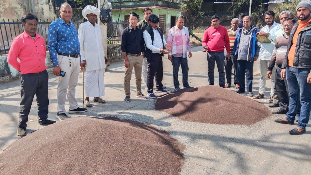 मंडी में नई सरसों की आवक शुरू, पहले दिन इतने रुपए प्रति क्विंटल बिकी, इस वजह से
किसान खुश