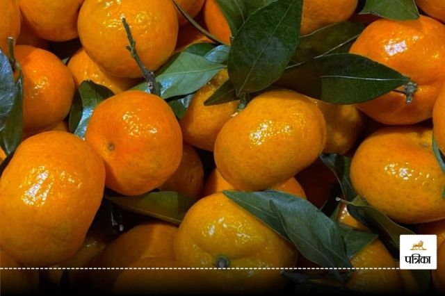 Origin Of Orange Fruit