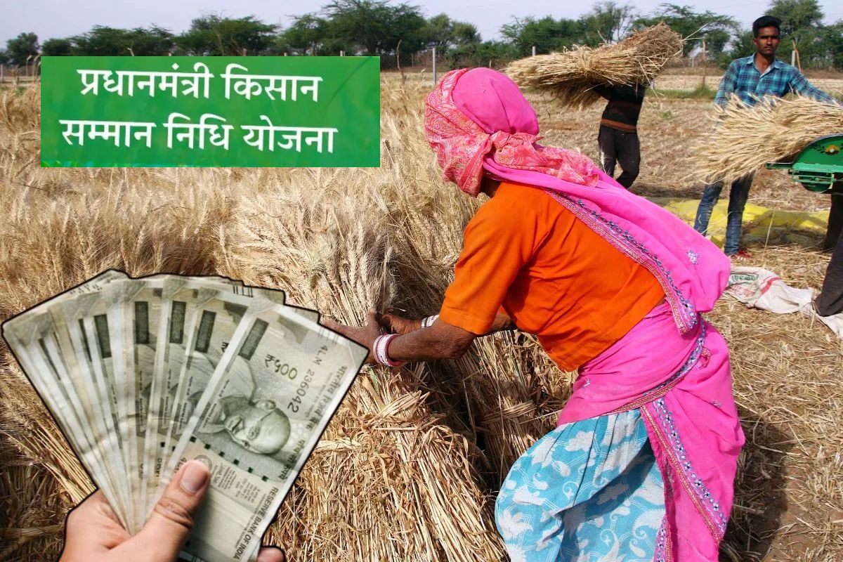 PM Kisan Yojana की 19वीं किस्त खातों में आएगी या नहीं, असमंजस में किसान, जानें
क्या बोले तहसीलदार