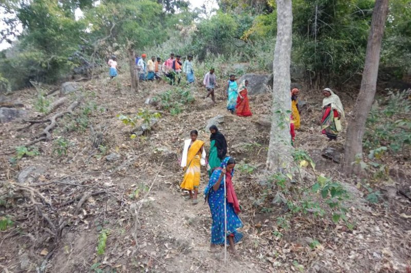 CG Panchayat Election 2025: पहुंचविहीन क्षेत्रों में भी मतदान के लिए दिखा उत्साह, जंगल-पहाड़ के रास्ते चलकर केंद्र तक पहुंचे ग्रामीण