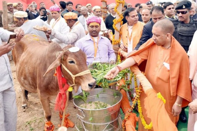 Nandani Krishak Samridhi Yojana