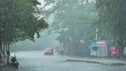 Weather Forecast:कल छह जिलों में बारिश के आसार, नौ फरवरी से एक्टिव होगा एक और
विक्षोभ - image