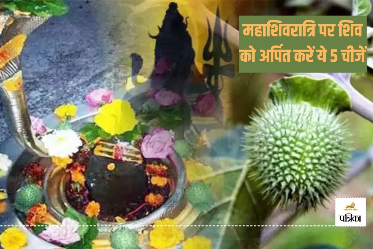 Mahashivratri Prasad: भोलेनाथ को प्रिय हैं ये 5 प्रसाद, महाशिवरात्रि पर चढ़ाएं
और पाएं शुभ आशीर्वाद