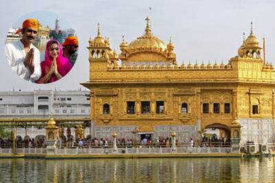 रश्मिका मंदाना Golden Temple में इस एक्टर के साथ हुईं स्पॉट, टेका मत्था | Rashmika  Mandanna and Vicky Kaushal reached the Golden Temple | Patrika News