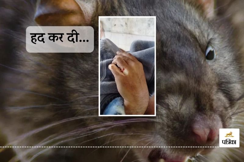 Rajasthan this District Hospital Big Negligence Dead Body Bitten Rats in just One Hour