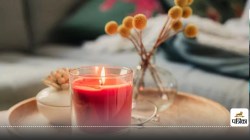 Scented candles health risks : सुगंधित मोमबत्तियां और वैक्स मेल्ट्स, खुशबू के
पीछे छिपा खतरा - image