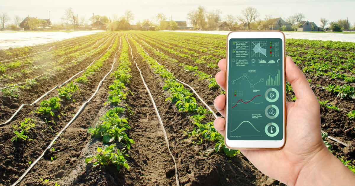 https://cms.patrika.com/wp-content/uploads/2025/02/Smart-Farming-Solution-A-Sneak-Peek-into-Farming-Revolution-Primary-image-1.jpg