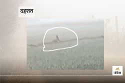 Rajasthan News : खेत में अज्ञात जानवर के भय से ग्रामीण सहमे, फोटो वायरल - image