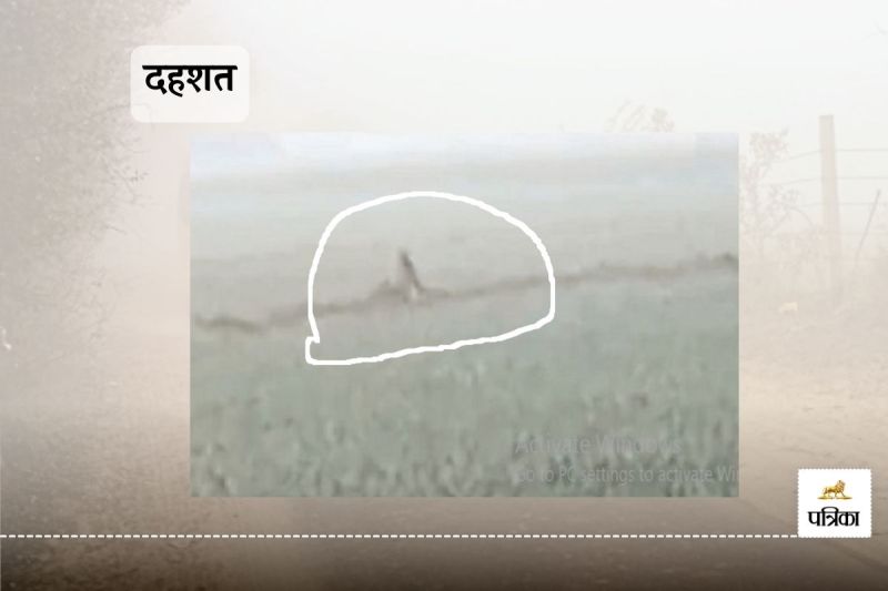 Rajasthan Sri Ganganagar Unknown Animal in Fields Villagers Scared Photo Viral