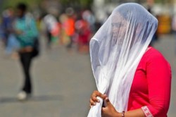 spring weather : आई पतझड़ की बेला… दिन में धूप चुभ रही है, रात हुई
‘गुलाबी-गुलाबी’ - image