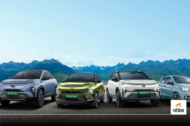 Tata Motors 11 Percent decline in car sales in January 2025