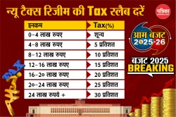 Budget 2025: Income tax reforms का ऐलान, जानें किसे कितना देना पड़ेगा टैक्स - image