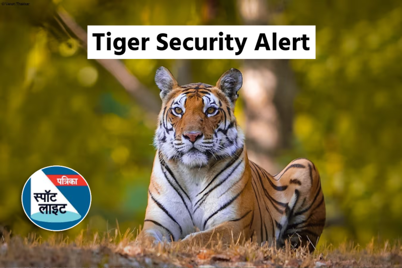Tiger Security Alert in MP
