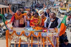 BJP victory rally: Video: जीत के बाद भाजपा ने शहर में निकाला विजय जुलूस, मेयर से
लेकर पार्षद तक शामिल - image