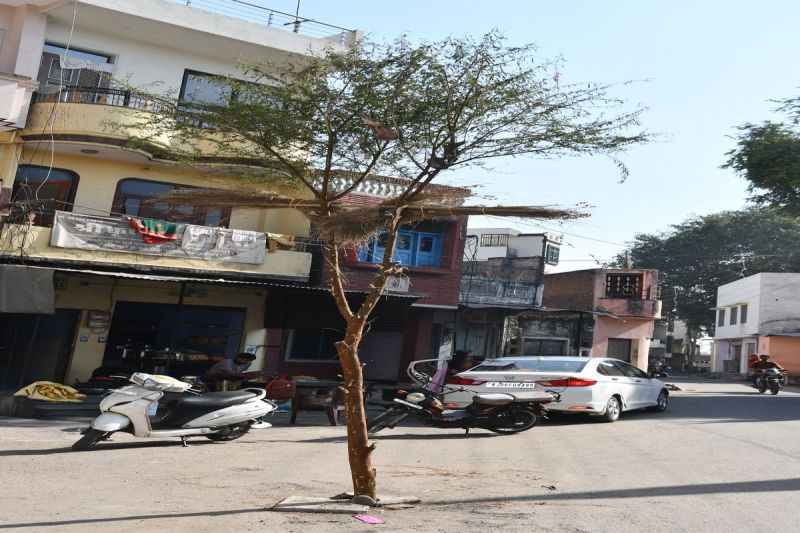 Holi's rope is planted, Faag songs will resonate