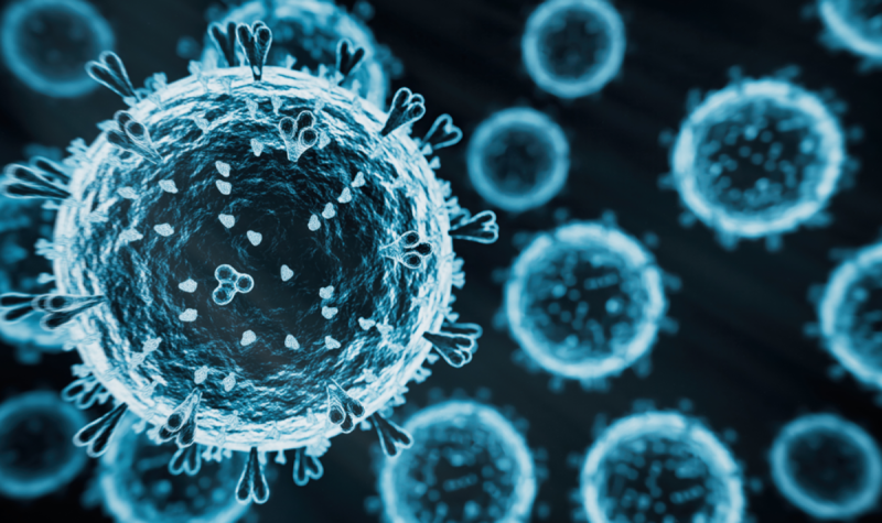 Deadly virus spreads among cats in MP