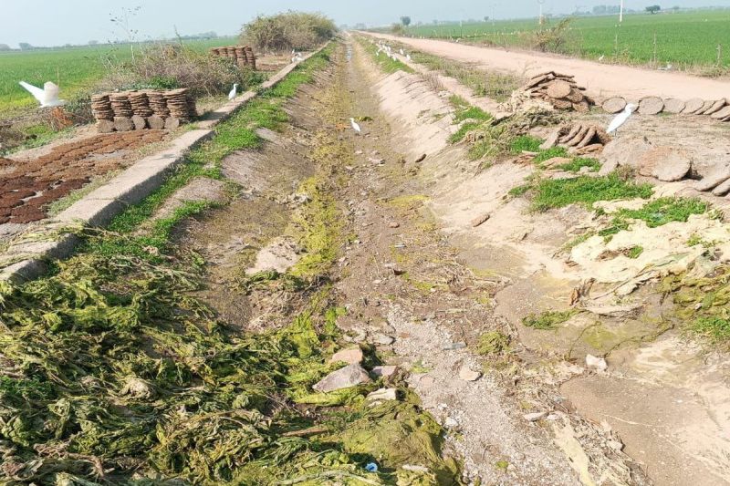 फसल सूखने के कगार, आमरण अनशन की दी चेतावनी