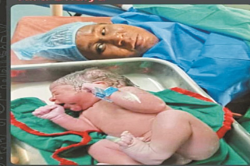 CG News: बच्चों की अदला-बदली मामले में अपडेट, शबाना के परिजन कर रहे डीएनए टेस्ट की मांग, टीम ने शुरू की जांच