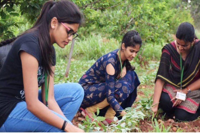 CG News: अब खेतों के कॉस्ट मैनेजमेंट की पढ़ाई कर सकेंगे छात्र, इस तारीख तक करें आवेदन