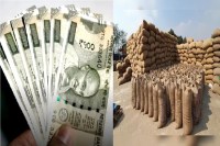 धान खरीदी में डिजिटल क्रांति! CM साय की नीति से किसानों को मिला पूरा भुगतान, जानें पूरी डिटेल...(photo-patrika)